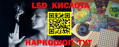 прущие крисы Аргун