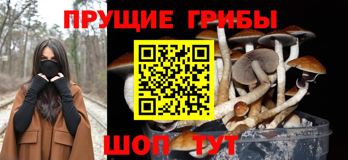 Галлюциногенные грибы Psilocybe  Галлюциногенные грибы Psilocybe  Вход с VPN  Белгород 