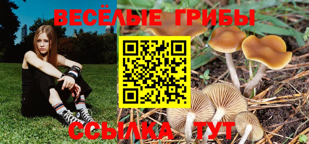 Галлюциногенные грибы Magic Shrooms Белгород